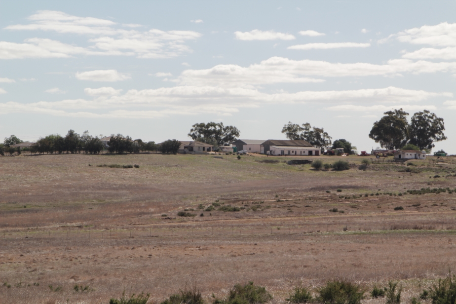 4 Bedroom Property for Sale in Hopefield Rural Western Cape